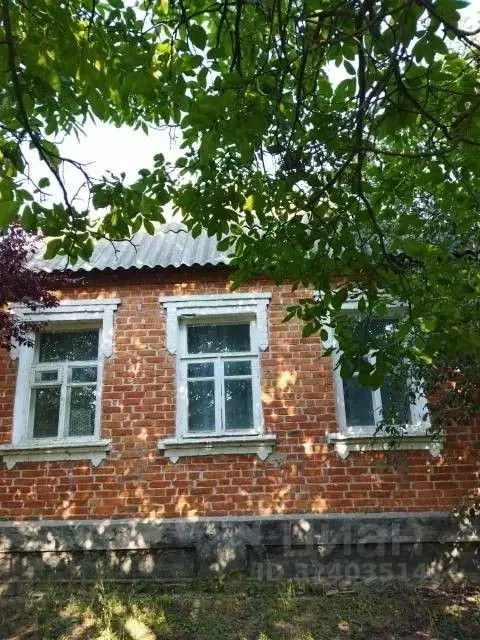 Дом в Белгородская область, Шебекинский муниципальный округ, Маслова ... - Фото 1