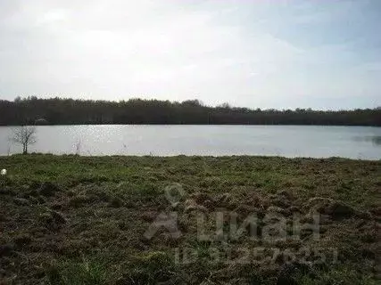 Участок в Краснодарский край, Славянский район, Черноерковское с/пос, ... - Фото 1