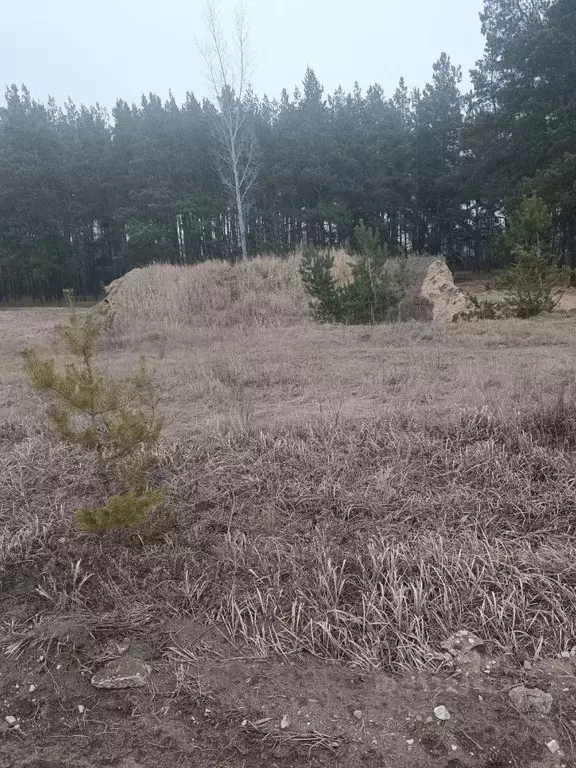 Участок в Воронежская область, Воронеж Малышево мкр,  (8.0 сот.) - Фото 0