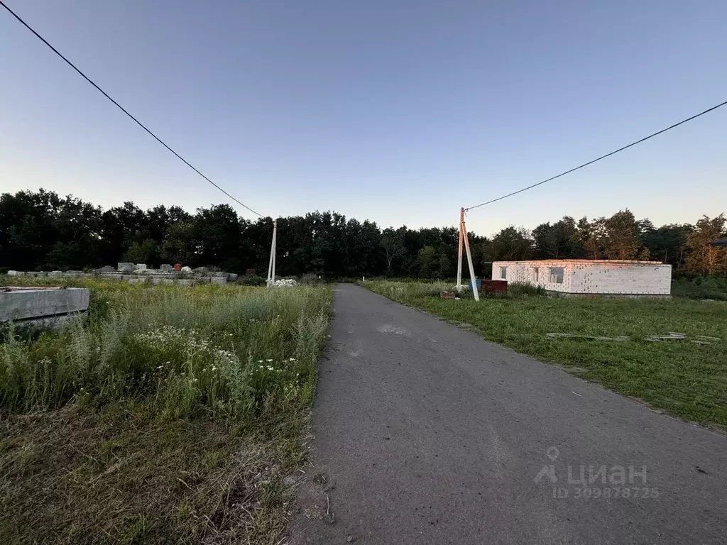 Участок в Белгородская область, Белгородский район, с. Стрелецкое, ... - Фото 0