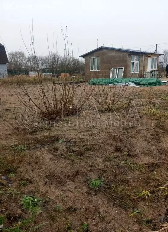 Участок в Большелуцкое сельское поселение, деревня Большой Луцк (8.35 ... - Фото 1