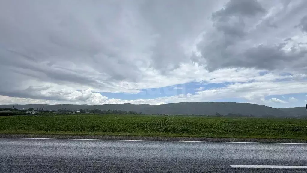 Участок в Адыгея, Майкопский район, пос. Тульский  (280.0 сот.) - Фото 1