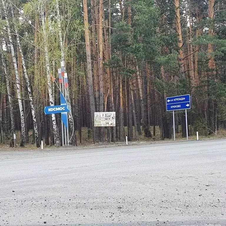 Участок в Курганская область, Кетовский муниципальный округ, с. ... - Фото 2