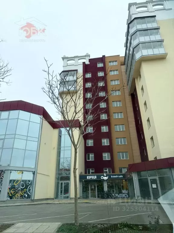 1-к кв. Крым, Евпатория просп. Победы, 34А (32.4 м) - Фото 1