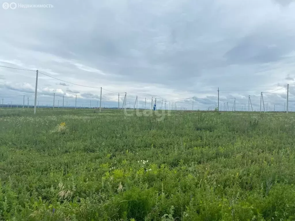 Участок в Кармаскалинский район, Кабаковский сельсовет, село Сихонкино ... - Фото 1