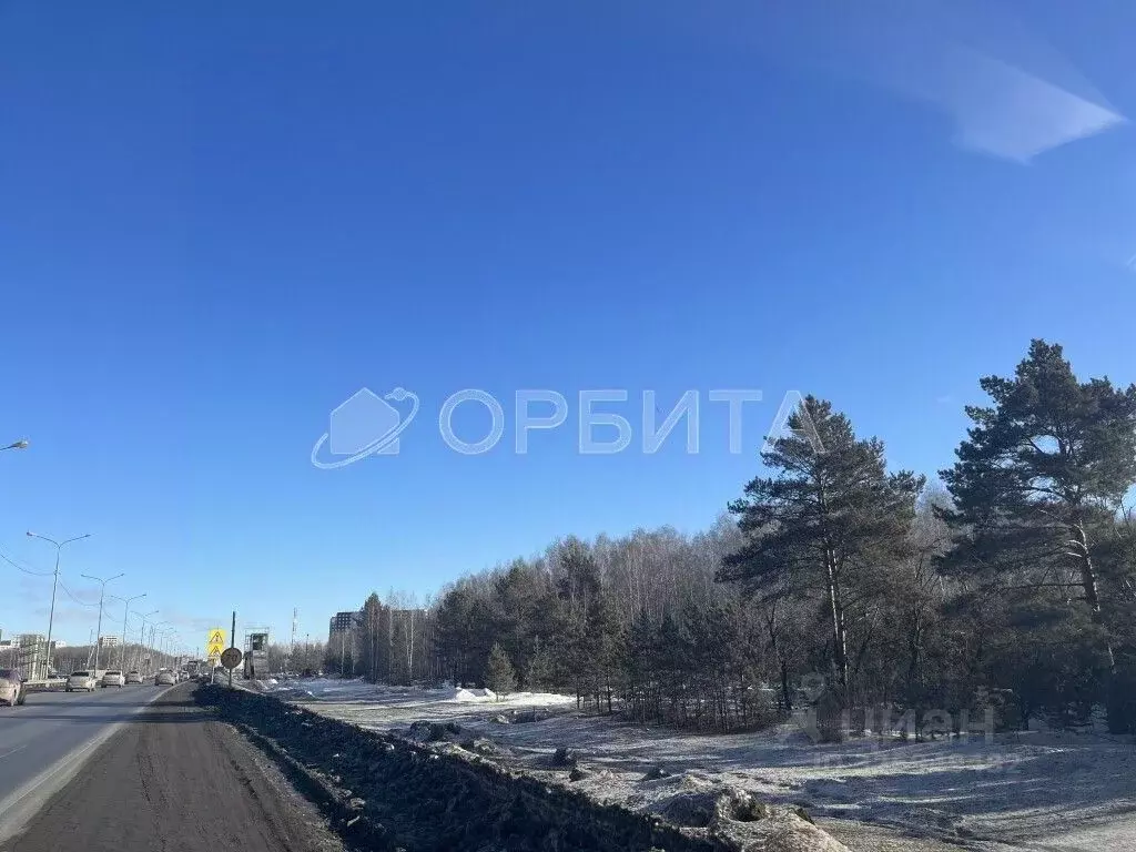 Участок в Тюменская область, Тюменский муниципальный округ, д. Дербыши ... - Фото 1