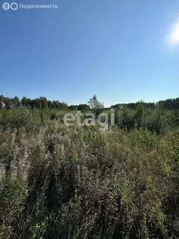 Участок в село Корнилово, улица Жирова (8.7 м) - Фото 1