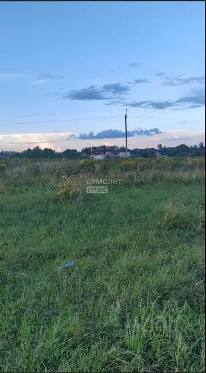 Участок в Владимирская область, Суздальский район, Павловское ... - Фото 0