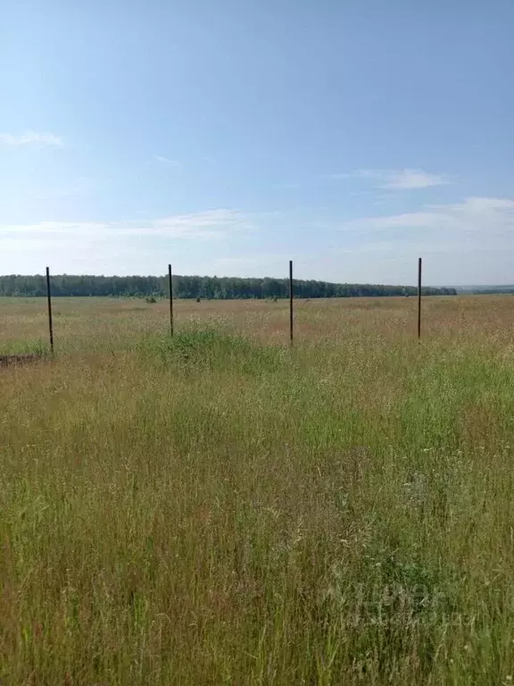 Участок в Челябинская область, Сосновский район, Кременкульское с/пос, ... - Фото 0