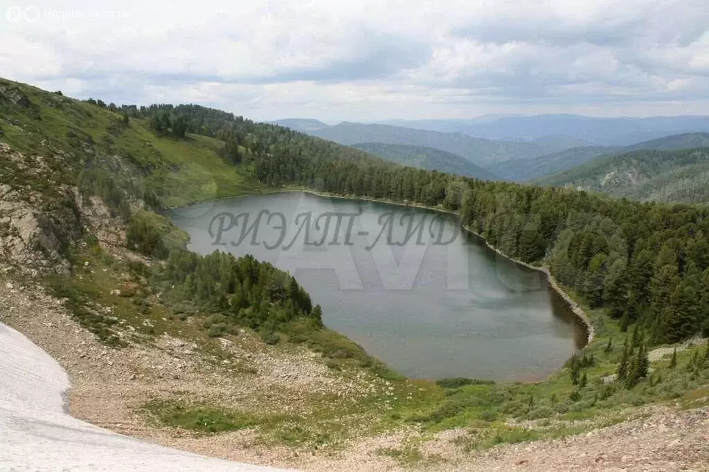 Участок в Усть-Коксинский район, село Усть-Кокса (1500 м) - Фото 0