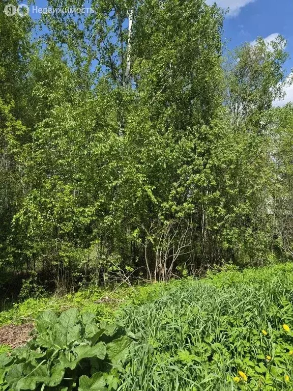 Участок в Московская область, городской округ Клин, деревня Семчино, ... - Фото 2