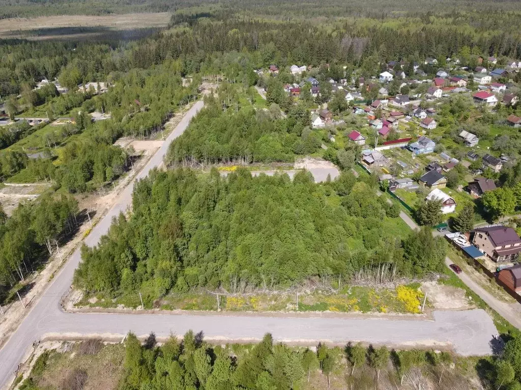 Участок в Ленинградская область, Всеволожский район, Лесколовское ... - Фото 1