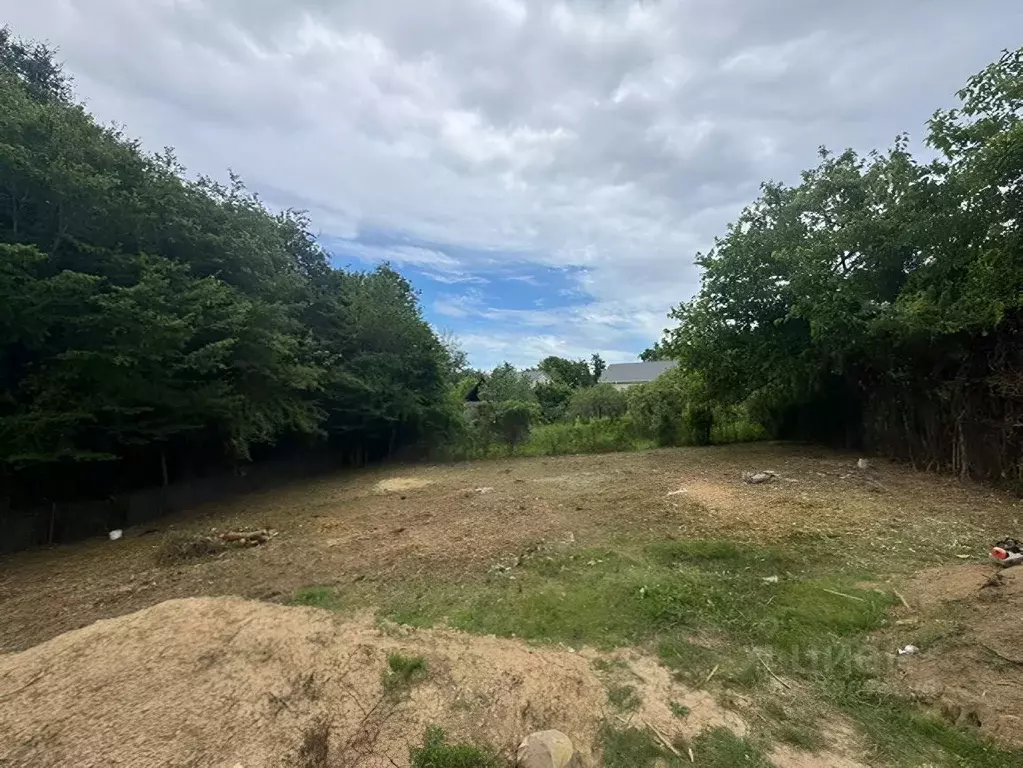Участок в Краснодарский край, Сочи городской округ, с. Каштаны, Знание ... - Фото 1