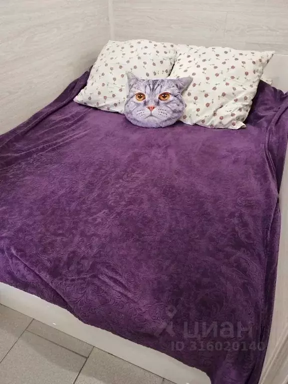 Комната Краснодарский край, Ейск ул. Калинина, 20 - Фото 2