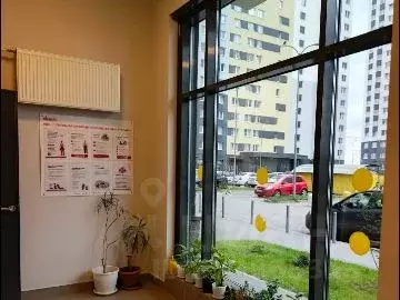 Студия Санкт-Петербург ул. Чарушинская, 32 (25.0 м) - Фото 2