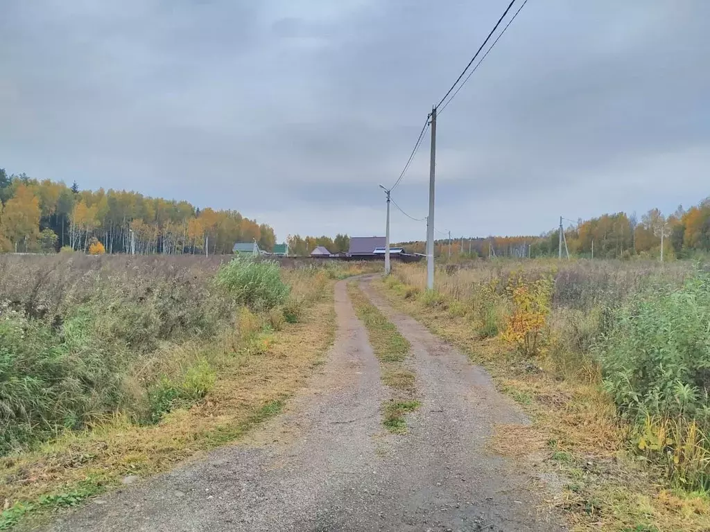 Участок в Московская область, Богородский городской округ, с. Стромынь ... - Фото 1