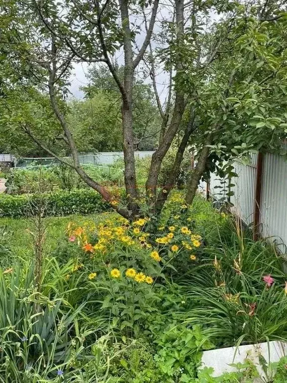 Дом в Белгородская область, Старый Оскол Осколец СНТ, ул. Мичуринская ... - Фото 1