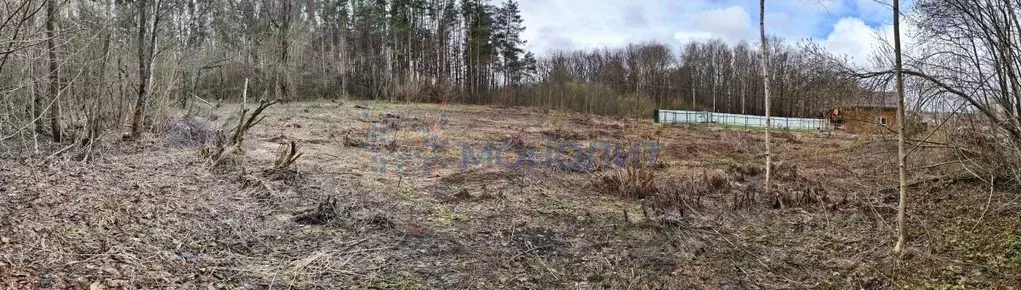 Участок в Нижегородская область, Богородский муниципальный округ, ... - Фото 2