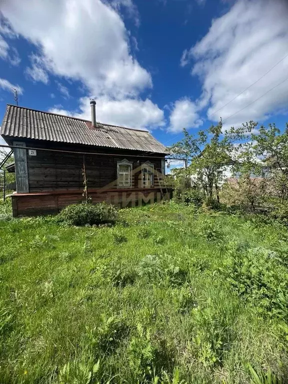 Дом в Саратовская область, с. Сосновка ул. Мирная, 21 (43 м) - Фото 1