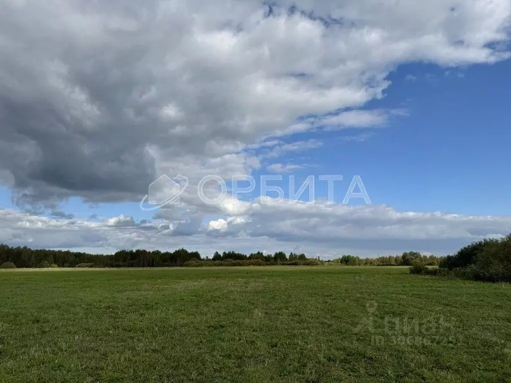 участок в тюменская область, тюменский район, д. елань (8.17 сот.) - Фото 0