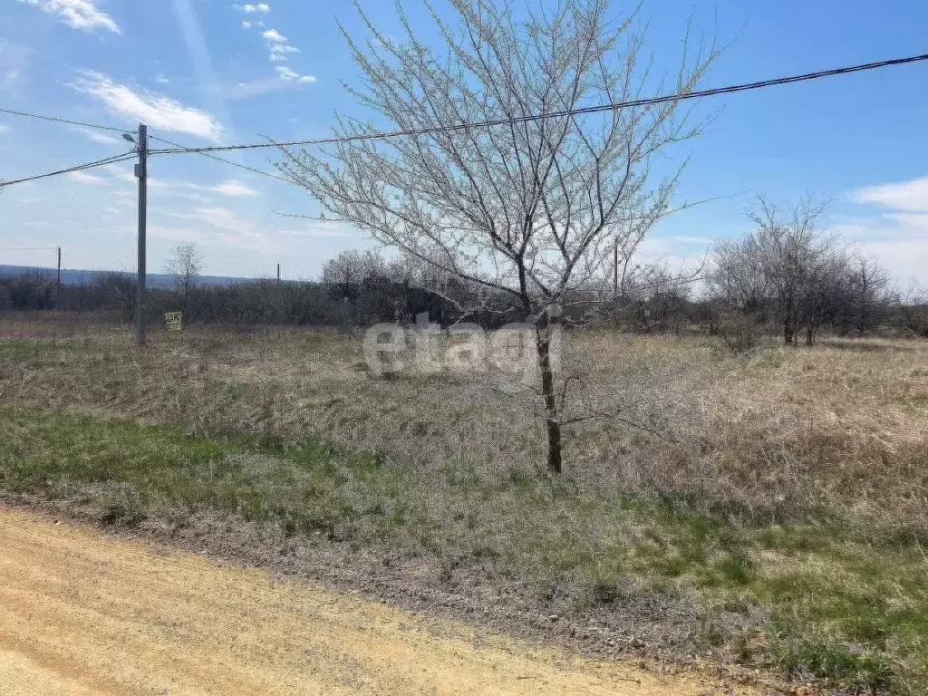 Участок в Ростовская область, Родионово-Несветайский район, ... - Фото 1