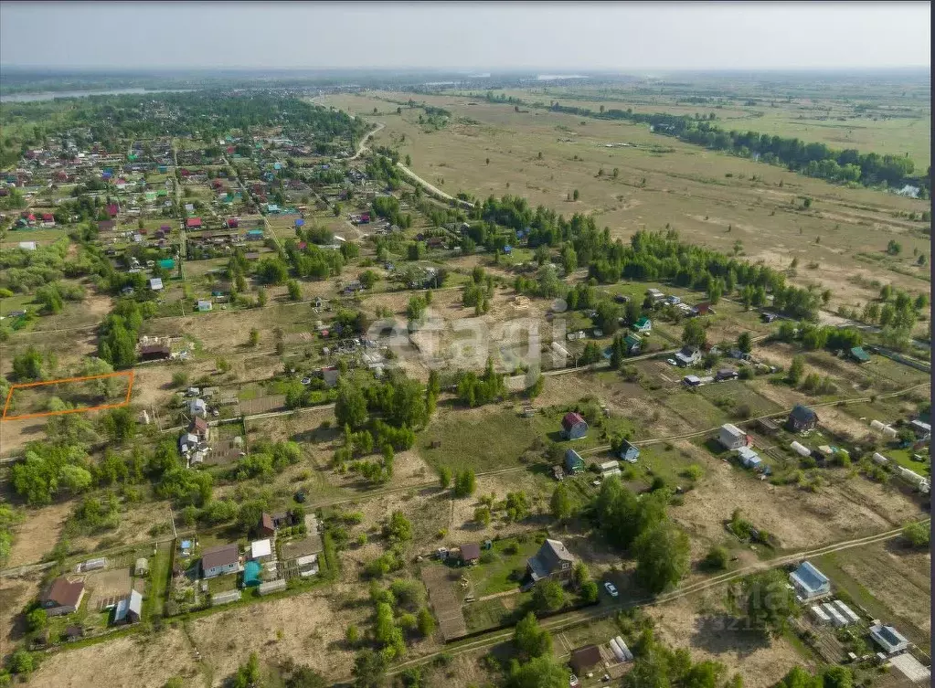 Участок в Новосибирская область, Колыванский район, Ежевичка СНТ  ... - Фото 1