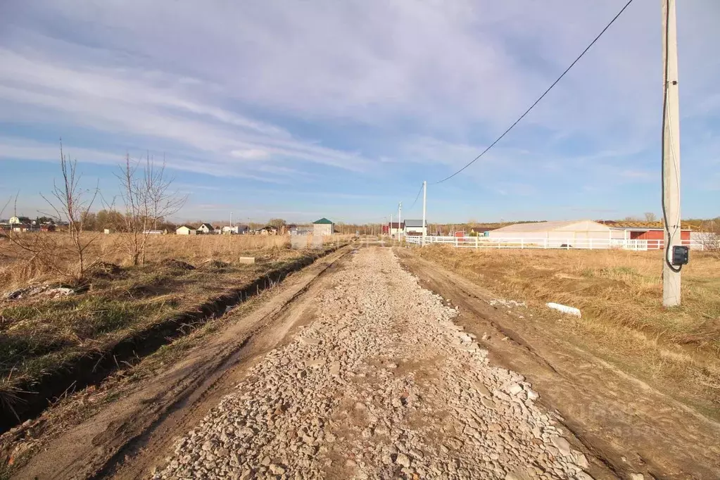 Участок в Алтайский край, Барнаул городской округ, пос. Центральный ... - Фото 0