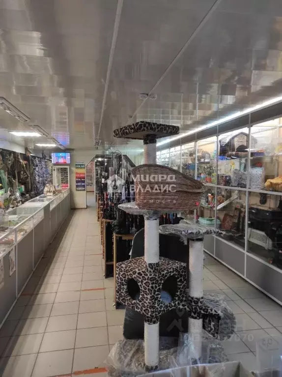 Помещение свободного назначения в Омская область, Омск бул. Победы, 10 ... - Фото 1