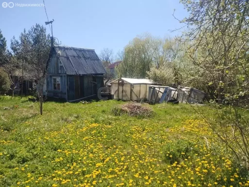 Участок в Калининград, СНТ Утро, Озёрная улица (7.24 м) - Фото 2