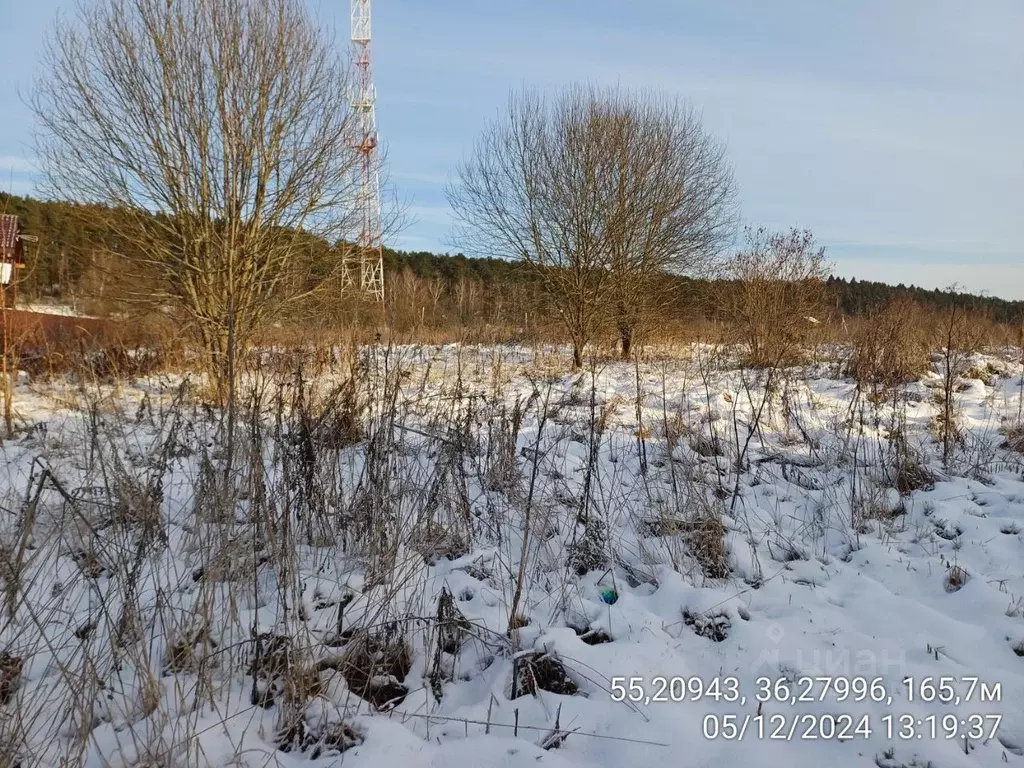 Участок в Московская область, Наро-Фоминский городской округ, д. ... - Фото 1