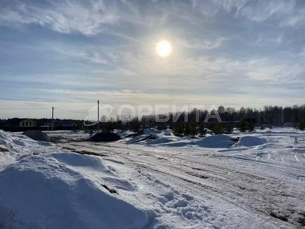 Участок в Тюменская область, Тюменский муниципальный округ, с. ... - Фото 2