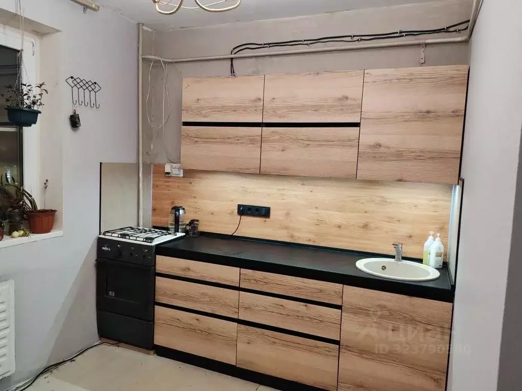 1-к кв. Пензенская область, Пенза Ладожская ул., 105 (37.4 м) - Фото 0