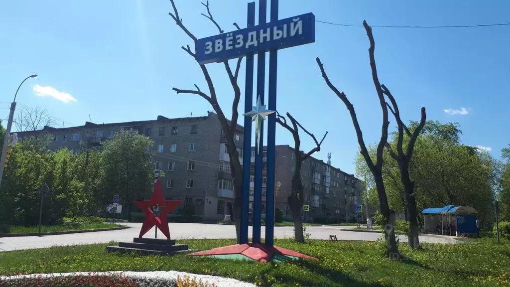 2-к кв. Пермский край, пос. Звездный ул. Бабичева, 2В (36.4 м) - Фото 2