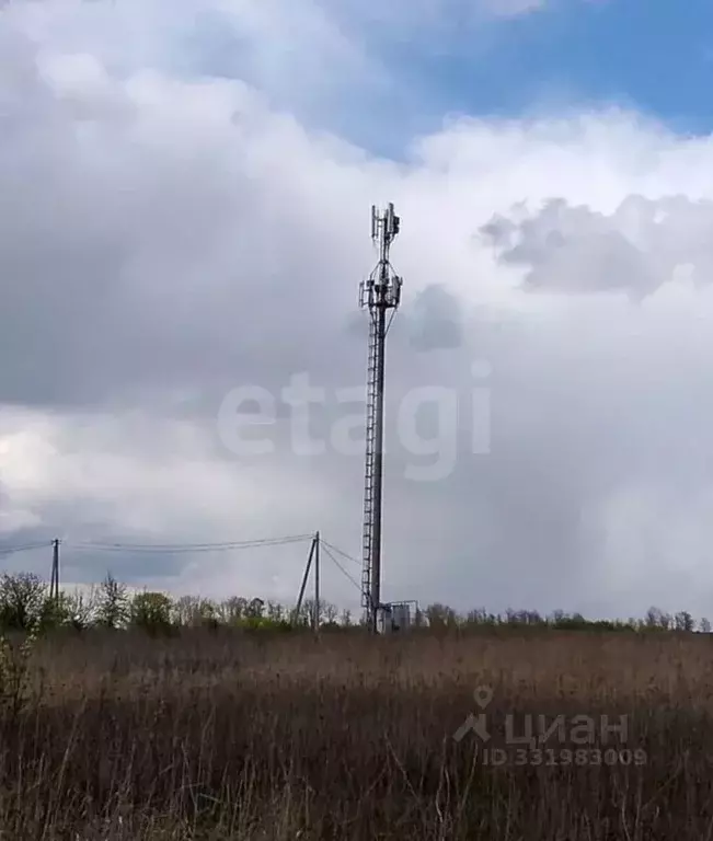 Участок в Тульская область, Богородицкий район, с. Иевлево, Бодаево ... - Фото 1