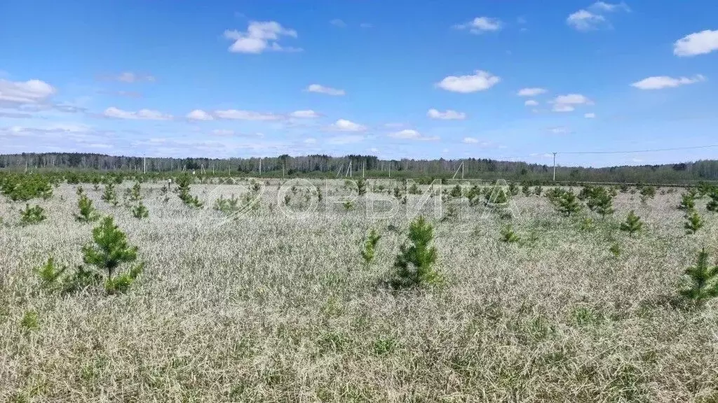 Участок в Тюменская область, Тюменский район, д. Елань  (6.89 сот.) - Фото 0