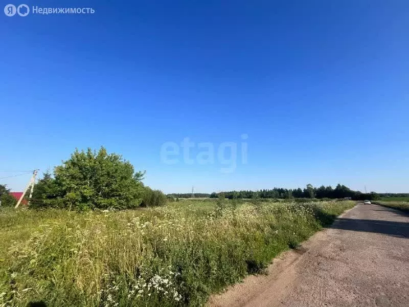 Участок в Ярославский муниципальный округ, деревня Сабельницы (7 м) - Фото 1
