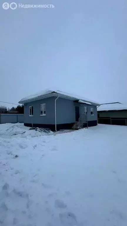 Дом в Пензенская область, село Бессоновка (55 м) - Фото 2