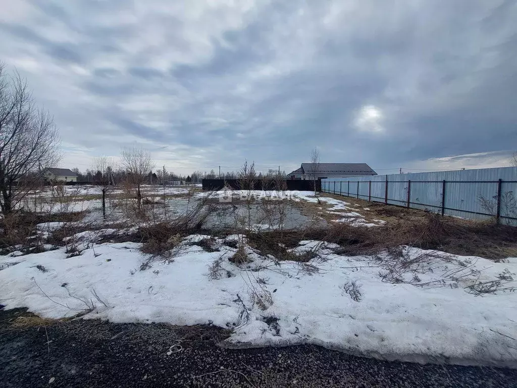 Участок, 6 сот., поселения (ижс) - Фото 2