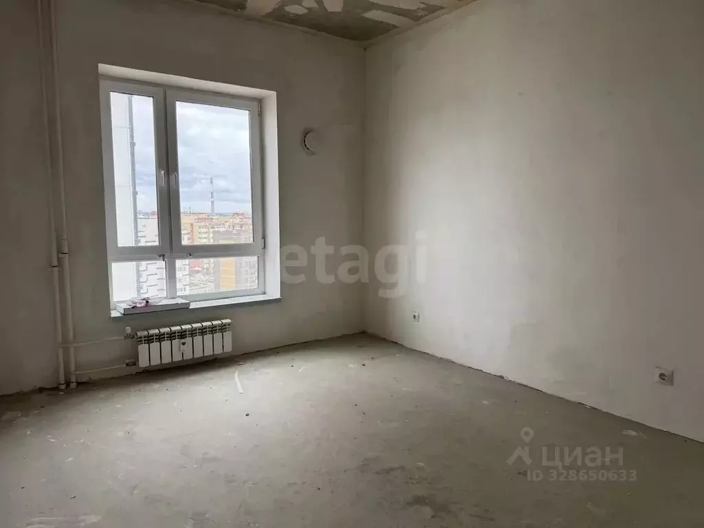 2-к кв. Псковская область, Псковский район, Завеличенская волость, д. ... - Фото 2