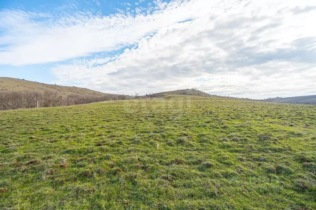 Участок в Крым, Бахчисарайский район, с. Тенистое ул. Алиме ... - Фото 1