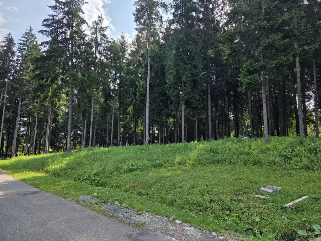 Участок в Московская область, Дмитровский муниципальный округ, Аква ... - Фото 2