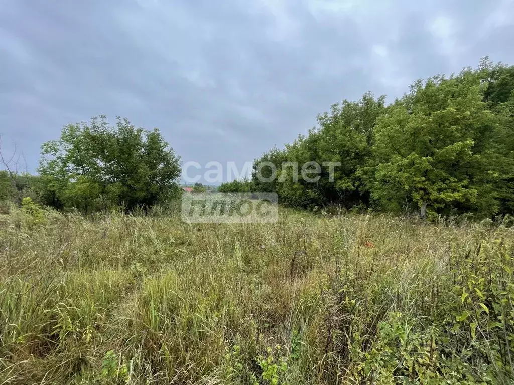 Участок в Ульяновская область, Тереньгульский район, Михайловское ... - Фото 1