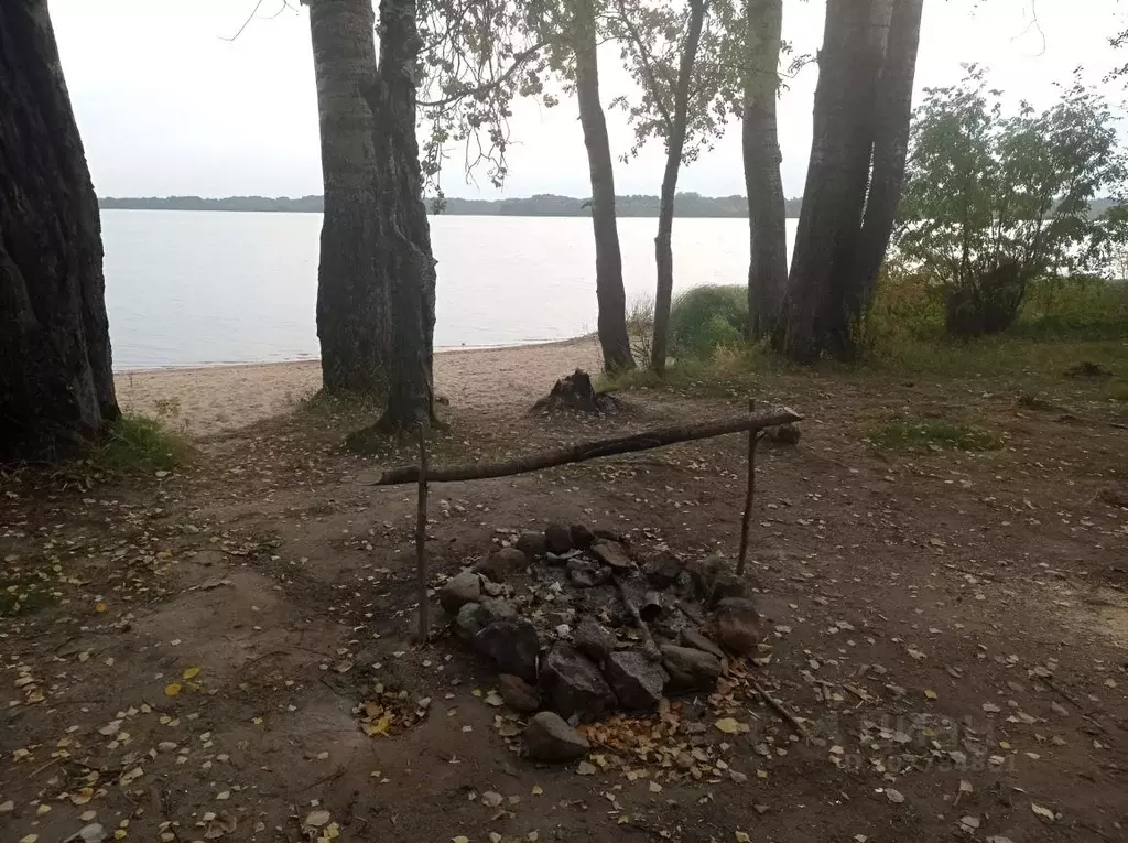 Участок в Тверская область, Осташковский городской округ, д. Сосново  ... - Фото 1