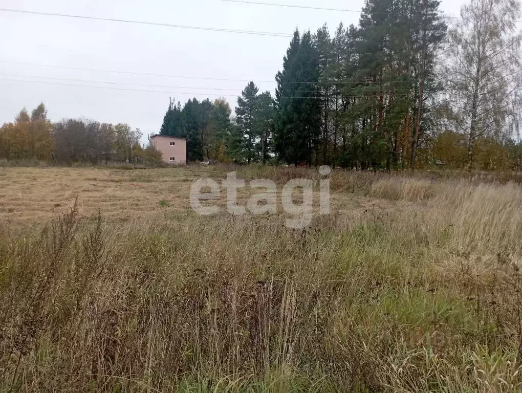 Участок в Костромская область, Красносельский район, Шолоховское ... - Фото 1