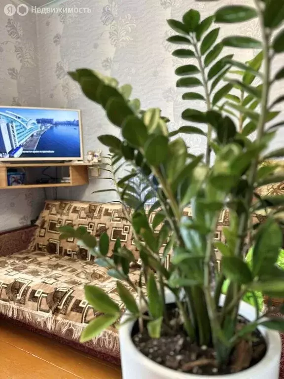 1к в 4-комнатной квартире (13 м) - Фото 1