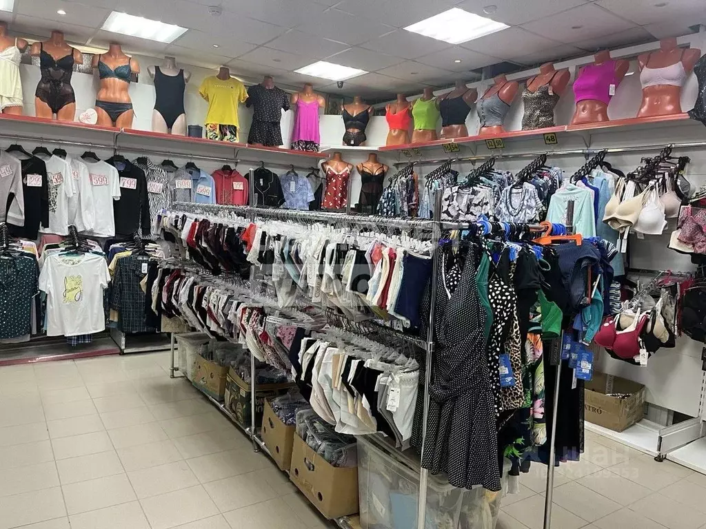 Торговая площадь в Пермский край, Кудымкар ул. Гайдара, 1 (52 м) - Фото 2