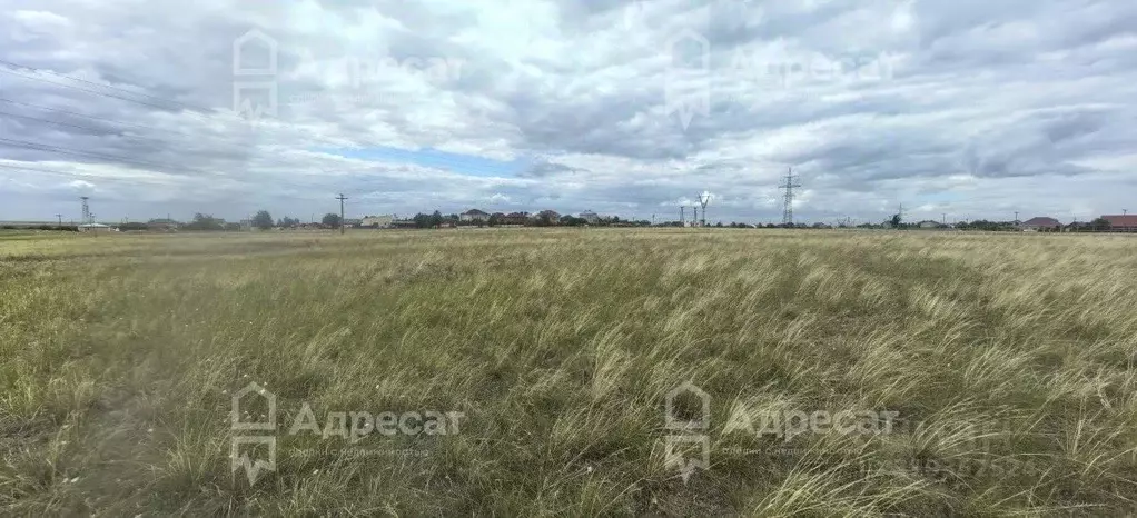 Участок в Волгоградская область, Городищенский район, Царицынское ... - Фото 1