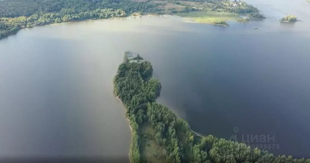 Участок в Тверская область, Осташковский городской округ, д. Кожурица  ... - Фото 0