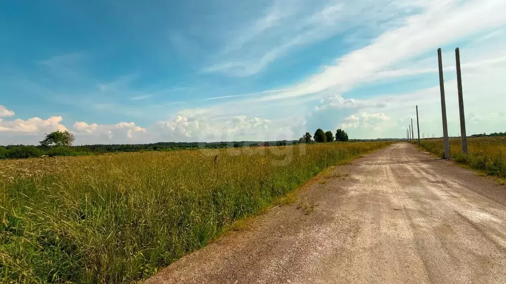 Участок в Ленинградская область, Волховский район, Староладожское ... - Фото 1