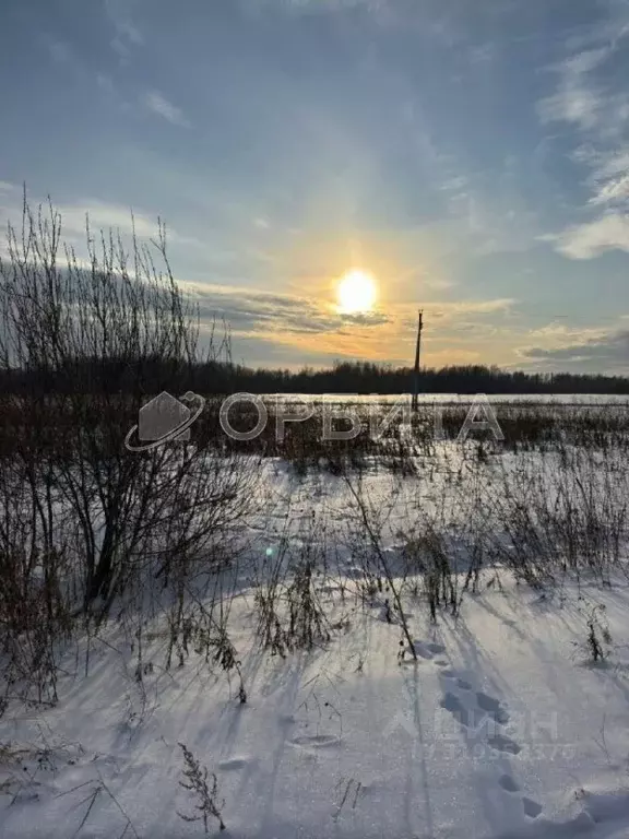 Участок в Тюменская область, Тюменский район, с. Горьковка Сибирская ... - Фото 0